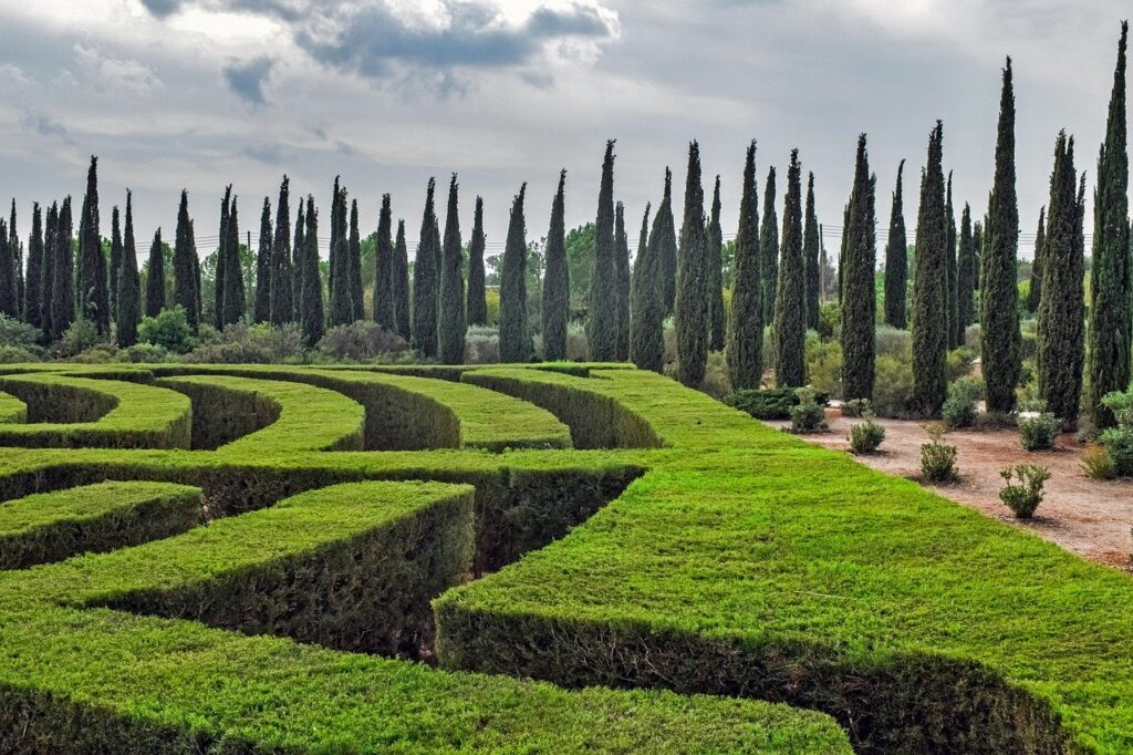 A hedge which forms a large maze, and only know the right route.