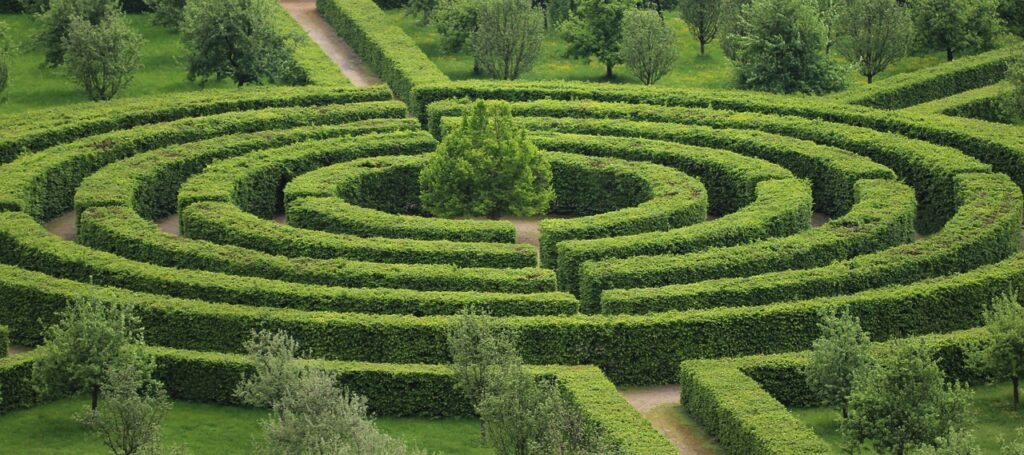 A crazy geometric maze formed with low hedges, the way out obscured.