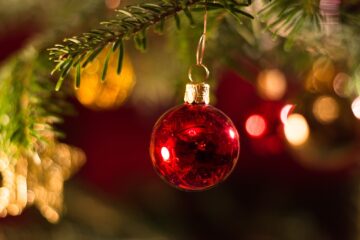 A single red bauble hangs from a branch of a Christmas tree