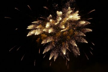 New Year's fireworks lighting up the sky, a celebration of the year ahead.