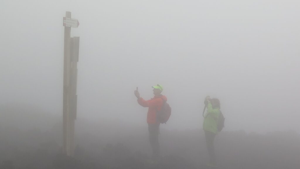 Two people, lost in the fog, looking for signs to find the right direction. Which direction is the right one for you?