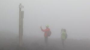 fog-bound Gary K Burns Two people, lost in the fog, looking for signs to find the right direction. Which direction is the right one for you?