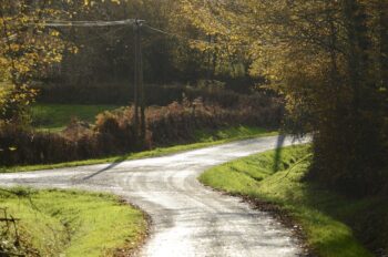 A country lane, lined with trees and grass verges, reaches a fork. Which way are you going?