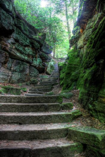 Stone steps carved into the rock in the woods. With each step you move closer to your better future.