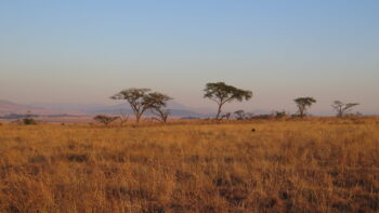 A wide open space, a space to reflect and enjoy the calm.