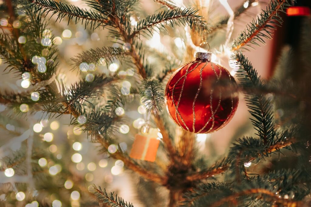 A Christmas tree, a time which some love and some do not. How to boldy survive Christmas