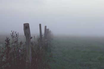 A fence, fading into the fog, the view obscured.
