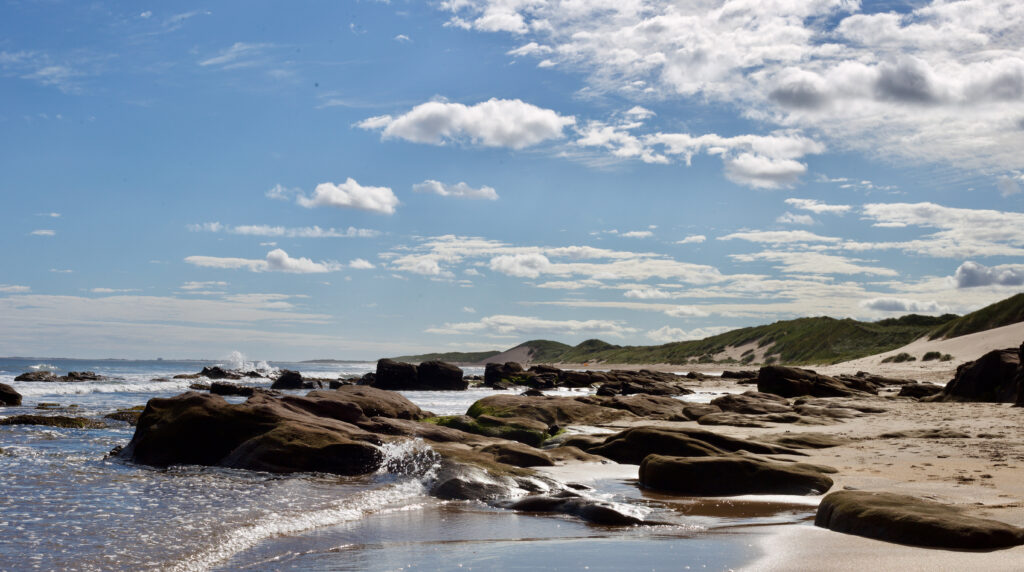 beach Gary K Burns A quiet beach, a calm sea, blue skies with a few clouds. How calm it all is!