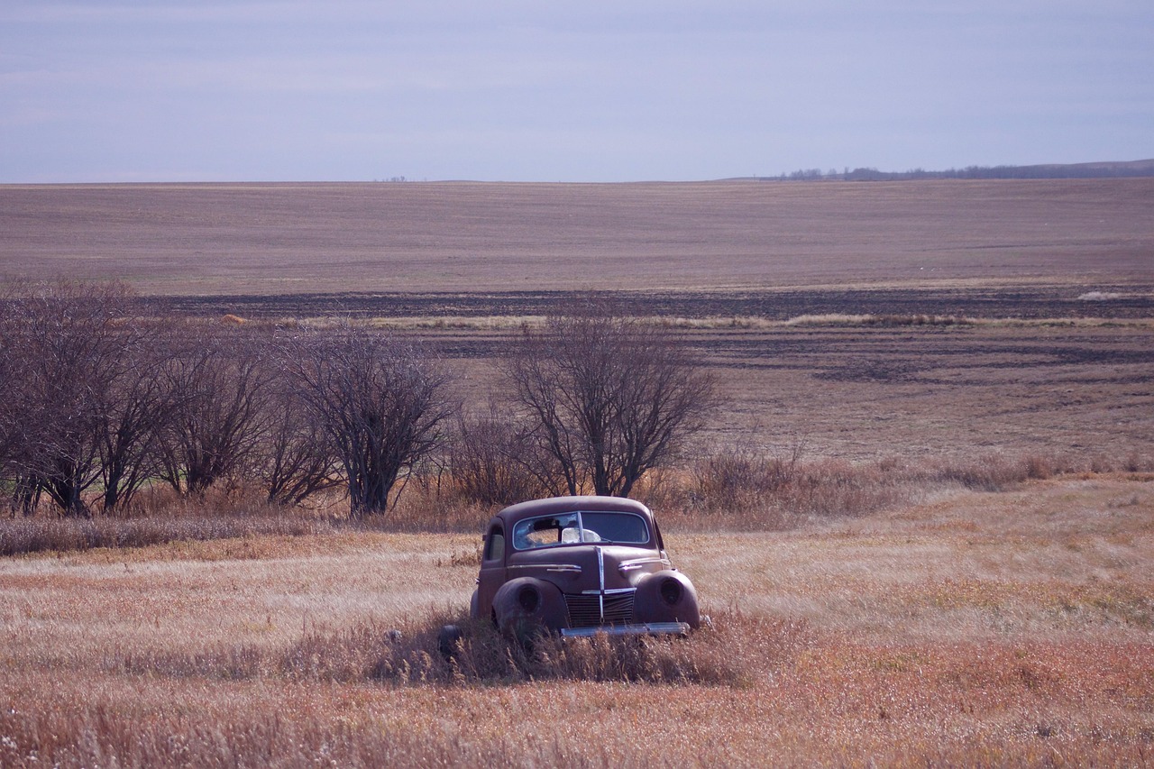 A rusting old car, stuck in a field, going nowhere