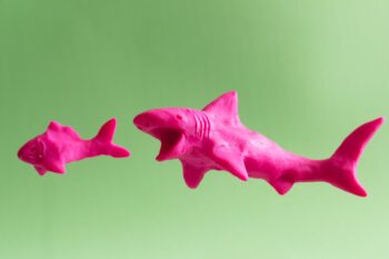 A pink shark about to eat a pink fish. No baby shark here.