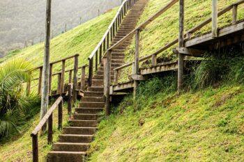Steps and boardwalks meet, forming a crossroads. Which way are you going now?