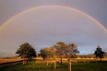 A rainbow arching over the countryside.