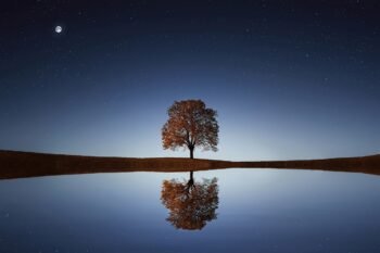 Time to reflect