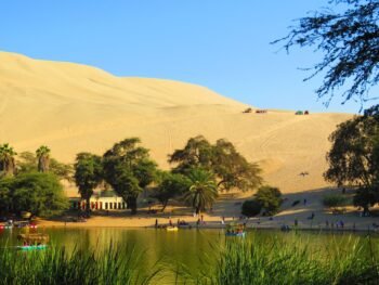 A little oasis, just for you